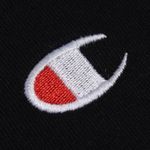 modelo-champion-10.04_0065_Camada-2