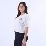 W5950B 224ICECREA-2-089